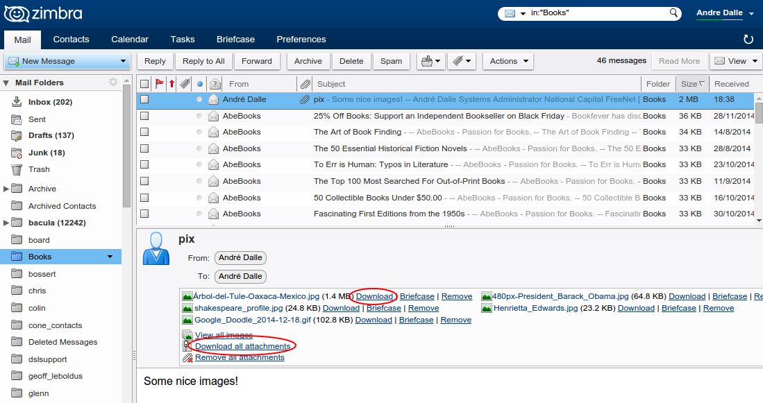 Zimbra8_advanced_download_attachments.png